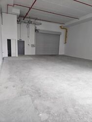 Ct Foodnex (D25), Factory #615633131